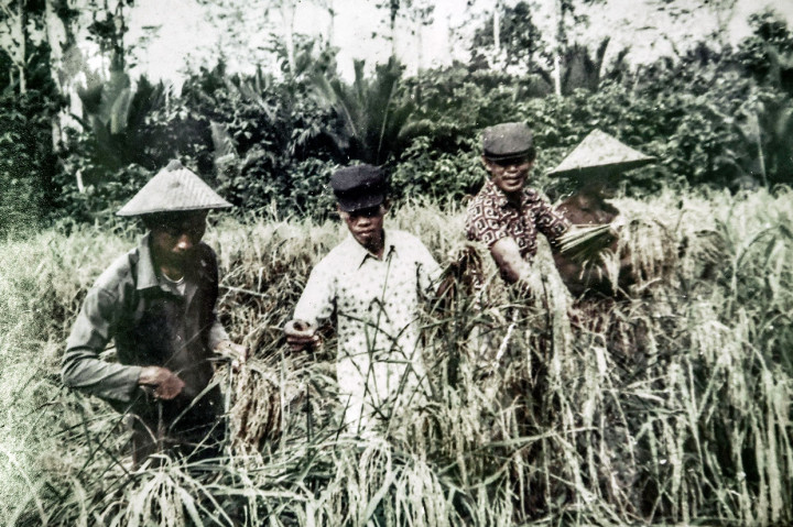 Selama menjalani kerja paksa, para tahanan politik pun kerap mendapatkan kekerasan dari tentara yang mengawasi mereka selama bekerja di unit masing-masing. “Boleh dibilang Pulau Buru ini dibangun dengan keringat dan air mata tahanan politik sehingga Buru kini telah menjadi lumbung padi di kawasan Indonesia Timur,” tutur Solikhin yang memilih hidup di Savana Jaya.