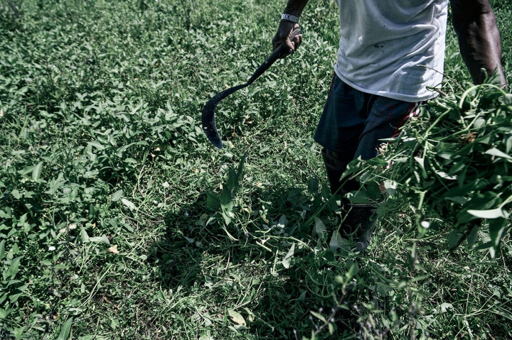Para mantan tahanan politik yang berada di Pulau Buru kini sudah hidup dengan tenang, ada yang menghabiskan sisa hidupnya dengan bertani hingga membuka warung untuk memenuhi kebutuhan hidupnnya. Mereka pun telah berbaur dengan para transmigran yang didatangkan dari Pulau Jawa meski sesekali ada saja yang menyebut mereka 'dasar PKI' bila ada seseorang yang jengkel dengan mereka.