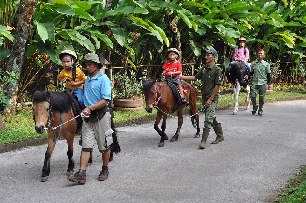 Anak-anak menunggang kuda saat wisata satwa di kawasan Royal Safari Garden Hotel dan Convention, Cisarua, Kabupaten Bogor, Jawa Barat. Antara Foto/Arif Firmansyah