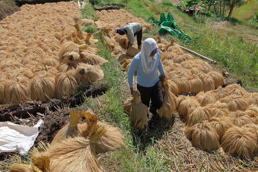 Petani di kawasan pertanian yang telah ditetapkan sebagai warisan budaya oleh UNESCO tersebut saat ini berupaya mempertahankan eksistensi Subak beserta budaya pertaniannya untuk bisa menopang pariwisata di daerah itu.