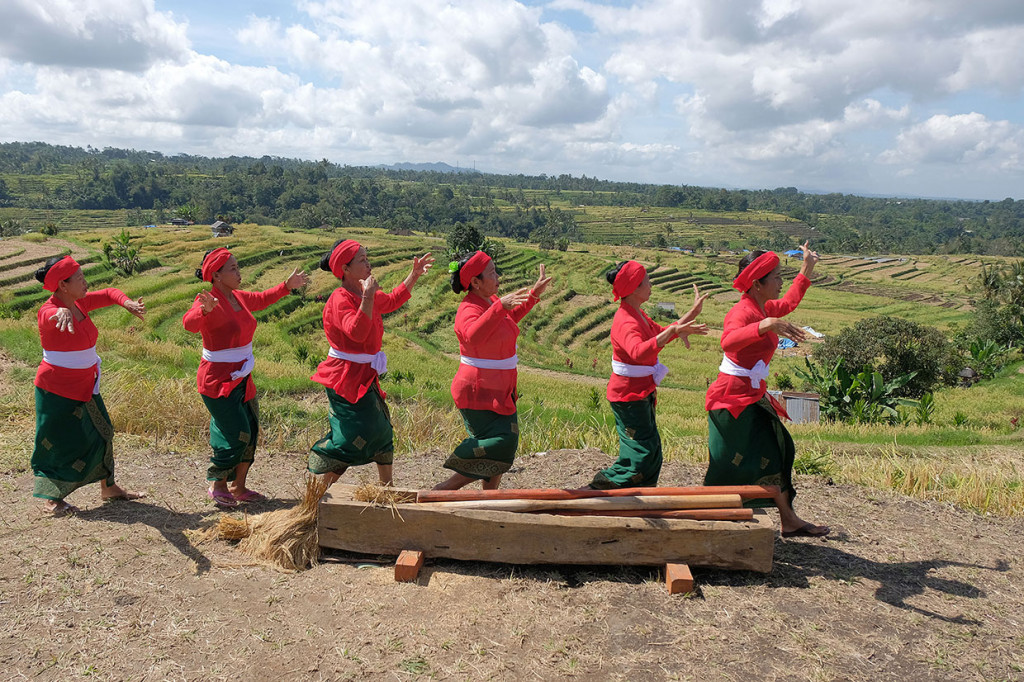 Untuk meningkatkan kunjungan wisatawan sekaligus mempertahankan budaya pertanian Bali beserta organisasi Subak di kawasan yang telah ditetapkan sebagai warisan budaya oleh UNESCO tersebut, saat musim panen warga Desa Jatiluwih menggelar bermacam kegiatan di antaranya menampilkan tari Numbug Lesung.