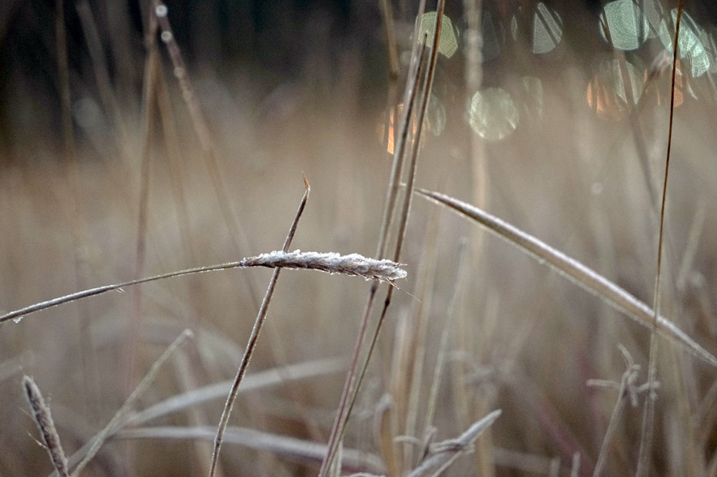 Dari sisi petani embun upas merugikan karena mematikan tanaman kentang, jika tebal dan luas. Namun, bagi sektor pariwisata embun beku menjadi fenomena tersendiri yang dapat menyedot wisatawan datang. Wisatawan yang datang tidak hanya dari sekitar Dieng seperti Banjarnegara atau Wonosobo, melainkan juga dari jauh seperti Jakarta, Bekasi, Kuningan, Yogyakarta, dan lainnya.