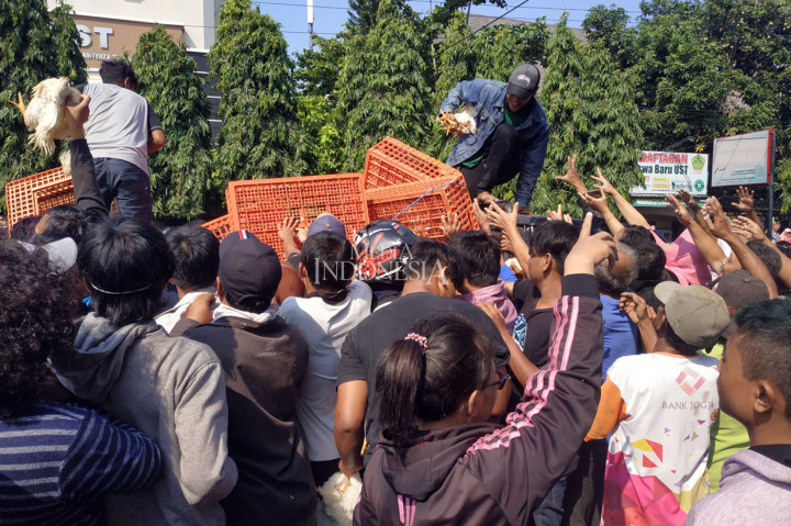Para peternak mengeluh terus merugi karena harga ayam hidup saat ini hanya sekitar Rp8 ribu-Rp 10 ribu per kilogram. Harga tersebut jauh di bawah harga pokok produksi (HPP) yang mencapai Rp 18.500 per kilogram. Para peternak baru memperoleh keuntungan jika harga jual ayam berkisar Rp20 ribu per kg. MI/Ardi Teristi Hardi