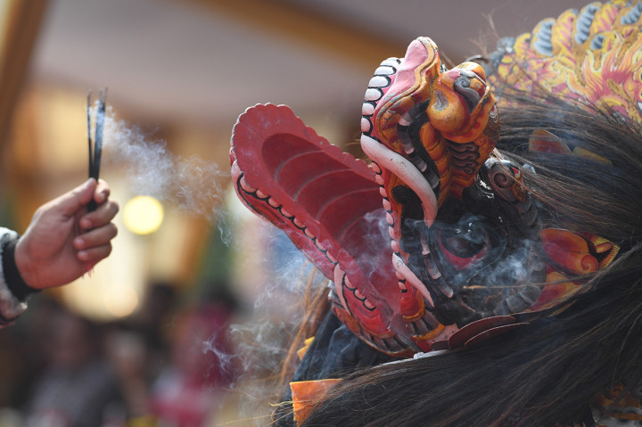 Seniman barongan beratraksi saat Kirab Budaya Banjaran Mojobangkit di Kota Mojokerto, Jawa Timur.