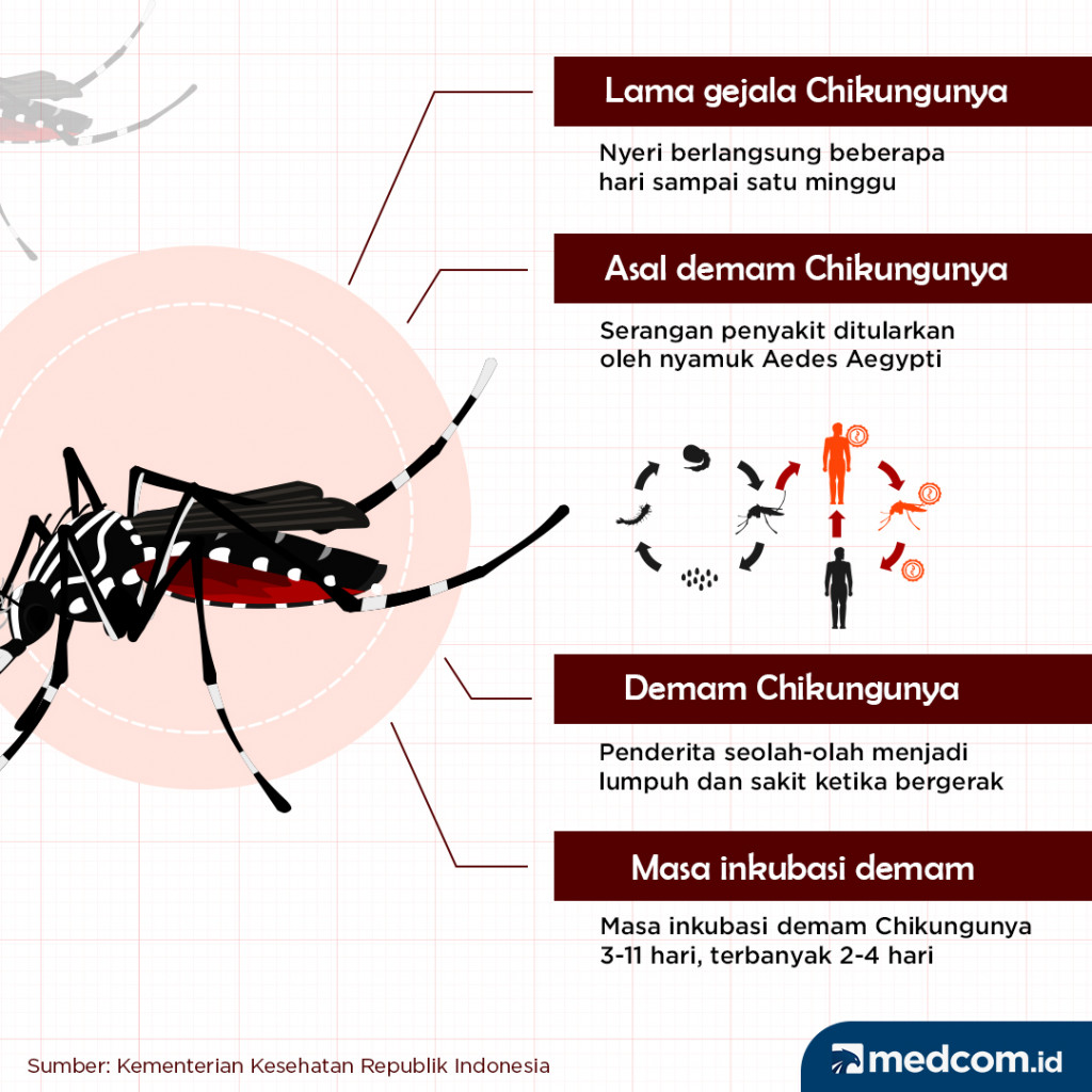 Gejala Klinis Chikungunya