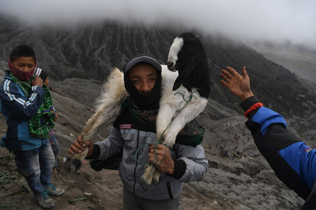 Masyarakat suku Tengger menggendong kambing untuk dilarung ke kawah Gunung Bromo pada Upacara Yadnya Kasada, Probolinggo.
