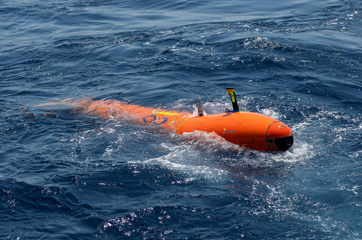 Menteri Pertahanan Prancis, Florence Parly mengumumkan upaya pencarian terbaru mulai dilakukan awal tahun ini, sesuai permintaan keluarga korban yang berharap agar orang-orang mereka cintai dapat diketahui. Afp Photo/Marine Nationale/Sebastien Chenal