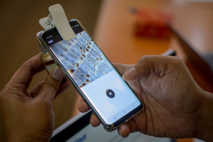 AIKO dapat digunakan untuk mengidentifikasi jenis kayu hanya dengan memotretnya.