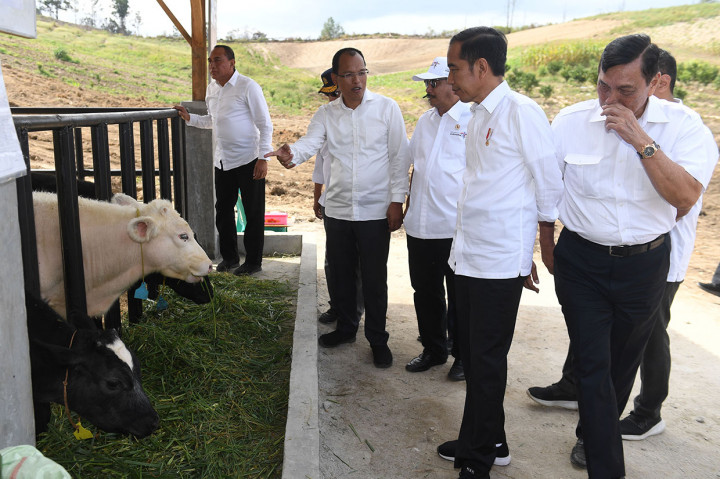 Dalam kunjungannya Presiden meninjau potensi perkebunan serta peternakan sapi di kabupaten yang memiliki ketinggian 330-2.075 meter di atas permukaan laut itu.