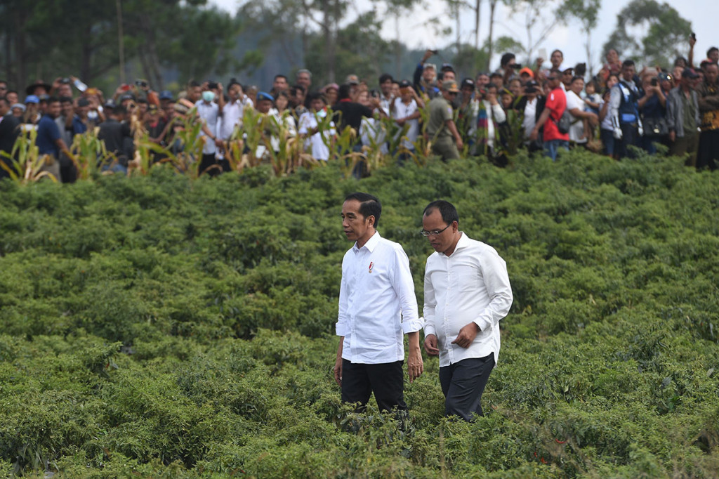 Presiden Joko Widodo (kiri) didampingi Bupati Humbang Hasundutan Dosmar Banjarnahor (kanan) berjalan melintasi perkebunan bawang saat melakukan kunjungan kerja di Humbang Hasundutan.