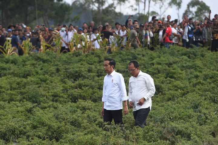 Presiden Joko Widodo (kiri) didampingi Bupati Humbang Hasundutan Dosmar Banjarnahor (kanan) berjalan melintasi perkebunan bawang saat melakukan kunjungan kerja di Humbang Hasundutan.