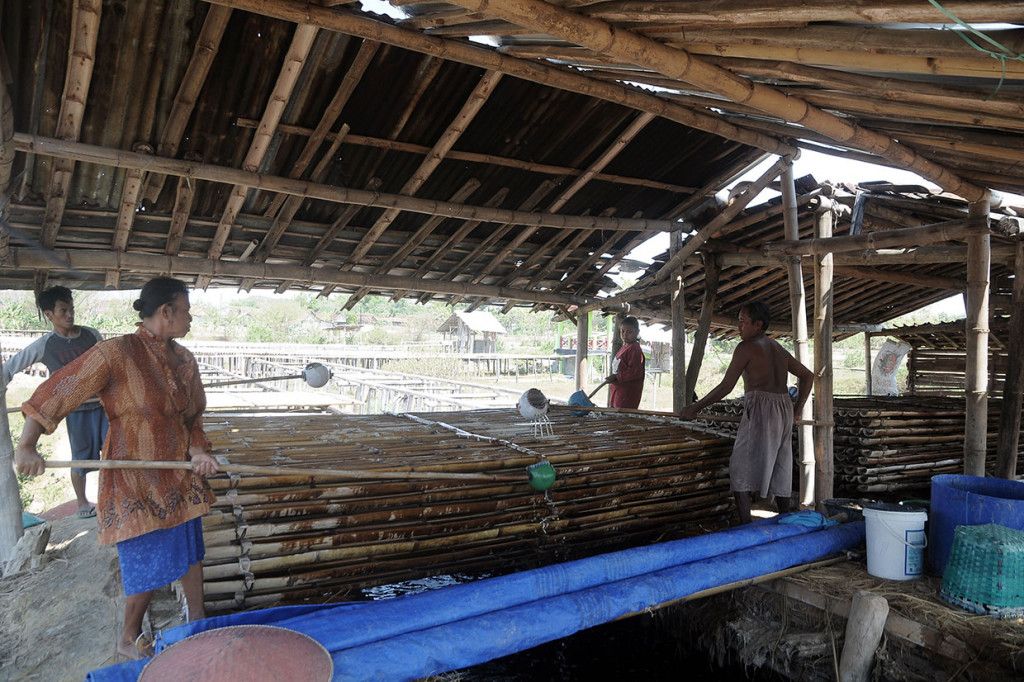Dari penampungan tersebut para petani memindahkan air ke bilahan bambu atau warga menyebutnya 'klakah'. Bilahan bambu yang sudah berisi air itu dijemur di bawah terik matahari hingga mengkristal berbentuk garam yang siap dipanen. Proses pembentukan garam tersebut membutuhkan waktu 10 hari saat cuaca panas dan 15 hari saat cuaca mendung.