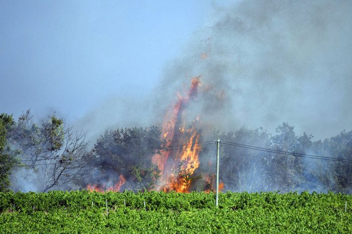 Jaksa mengatakan kebakarna - yang telah menghancurkan hampir 800 hektar (1.980 acre) hutan, semak belukar, dan kebun-kebun anggur di daerah sekitar desa Generac sejak 30 Juli - kemungkinan dilakukan dengan sengaja. Pihaknya tengah melakukan penyelidikan terhadap peristiwa tersebut.
