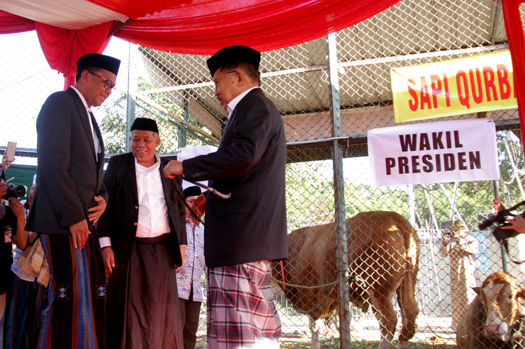 Pada perayaan Idul Adha, JK juga menyerahkan bantuan hewan kurban dari Presiden Joko Widodo kepada Gubernur Sulawesi Selatan Nurdin Abdullah di Lapangan Karebosi. Sementara hewan kurban dari Wapres JK akan diserahkan kepada perwakilan Masjid Al Markaz Al Islami, Masykur Yusuf, dan Kadep Agama Kota Makassar Arsyad Ambo Tuo.