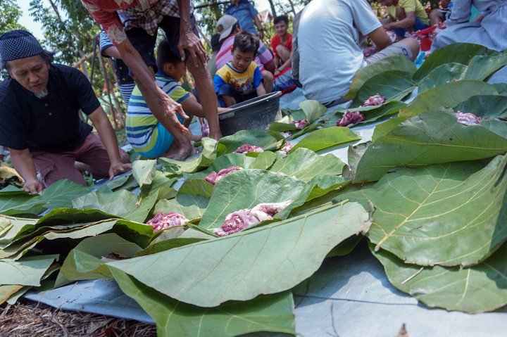 Warga memilah daging kurban menggunakan daun pohon jati usai dilakukan pemotongan di Perumahan Lebo Permai, Warungasem, Kabupaten Batang, Jawa Tengah. Antara Foto/Harviyan Perdana Putra