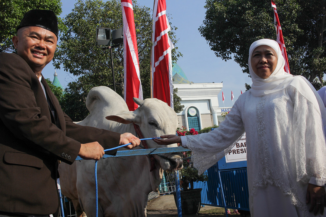 Sapi-sapi Kurban Milik Jokowi yang Tersebar di Sejumlah Wilayah - Medcom.id
