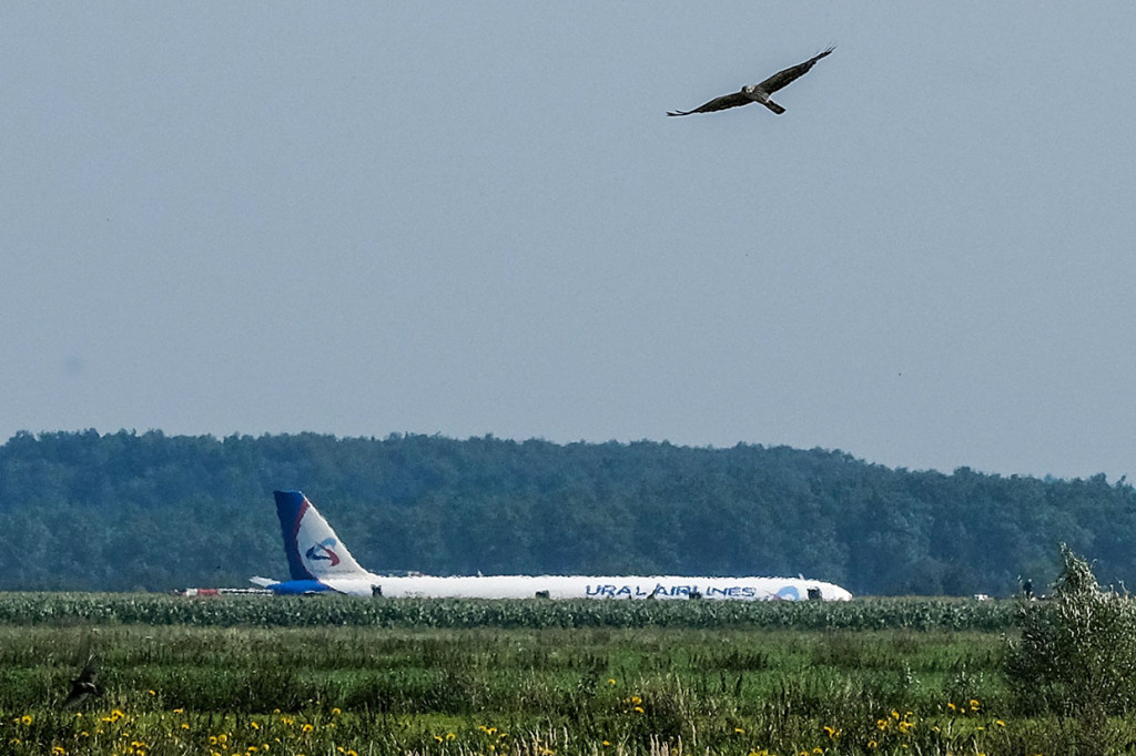 Sebanyak 23 orang, termasuk sembilan anak, cedera dalam pendaratan tersebut. Pesawat berangkat dari Moskow menuju Simferopol di Krimea dan mengangkut 226 penumpang serta tujuh awak.