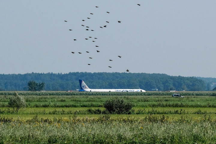 Sang pilot, Damir Yusupov, penduduk asli Yekaterinburg, dipuji sebagai pahlawan. Yusupov dipuji karena pemikirannya yang cepat. 