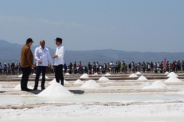 Presiden Joko Widodo didampingi Menteri Perindustrian Arilangga Hartarto (kiri) dan Gubernur NTT Viktor Laiskodat meninjau produksi tambak garam di Desa Nunkurus, Kecamatan Kupang, pada Rabu, 21 Agustus 2019.