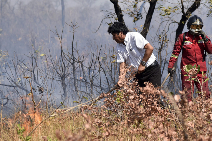Presiden Bolivia Evo Morales membantu petugas pemadam kebakaran mencoba mengendalikan api di dekat Charagua, Bolivia, di perbatasan dengan Paraguay, selatan lembah Amazon, Kamis, 29 Agustus 2019 waktu setempat.