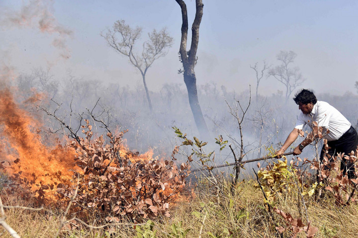 Evo Morales dengan tanpa memakai masker dan alat keselamatan turut membantu petugas untuk memadamkan kebakaran hutan dengan alat seadanya. 