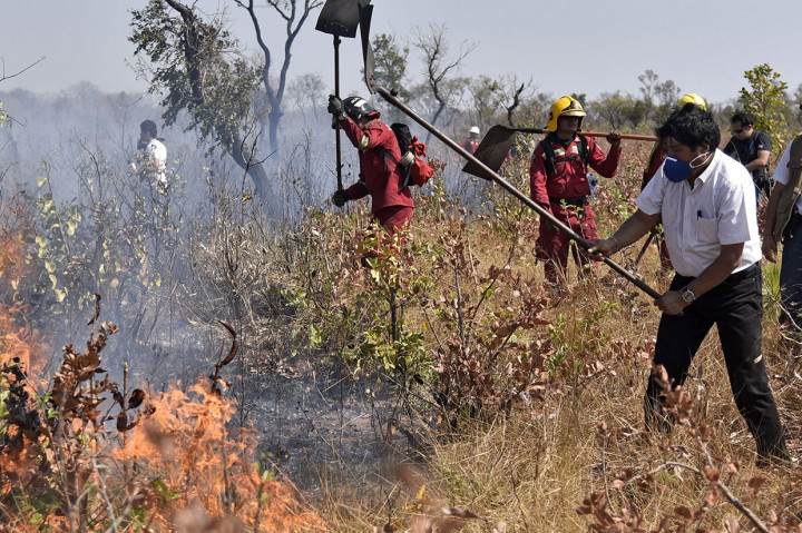 Ini merupakan aksi Evo Morales yang kedua, setelah kemarin juga terjun langsung untuk memadamkan kebakaran hutan. Pada Rabu, 28 Agustus 2019, Evo Morales turut memadamkan kebakaran dengan menggunakan penyemprot air.