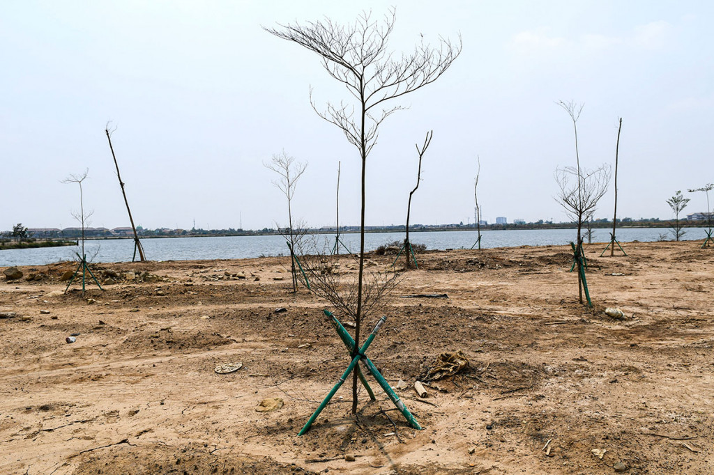 Pembangunan Waduk Rorotan di Cakung, Jakarta Timur, hingga saat ini belum menunjukan hasil yang memuaskan. Meski empat tahun telah berlalu, pembangunan penampungan air raksasa ini baru mencapai 85 persen.