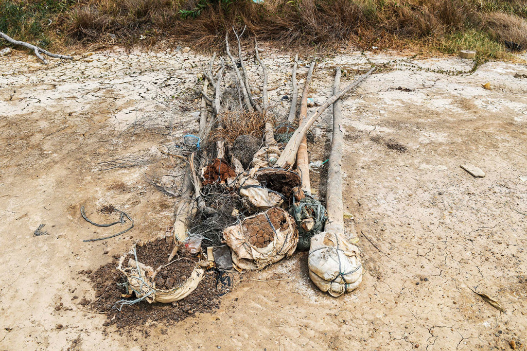 Dengan kedalaman sekitar 8 meter dan luas mencapai 25 hektare, Waduk Rorotan dibangun untuk mengantisipasi banjir yang sering terjadi di tiga wilayah yaitu
Cakung, Rorotan, dan Cilincing.