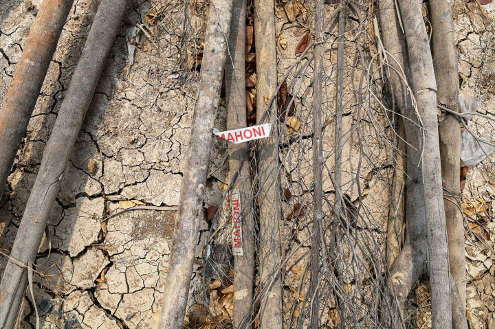 Belum selesainya pembangunan Waduk Rorotan lantaran sebelumnya banyak persoalan yang harus dihadapi. Salah satunya, diduga kuat akibat mantan Kepala Dinas Sumber Daya Air DKI Jakarta Teguh Hendarwan sebagai tersangka. Mantan camat Pulogadung ini tersangkut kasus dugaan perusakan dan memasuki pekarangan orang lain.