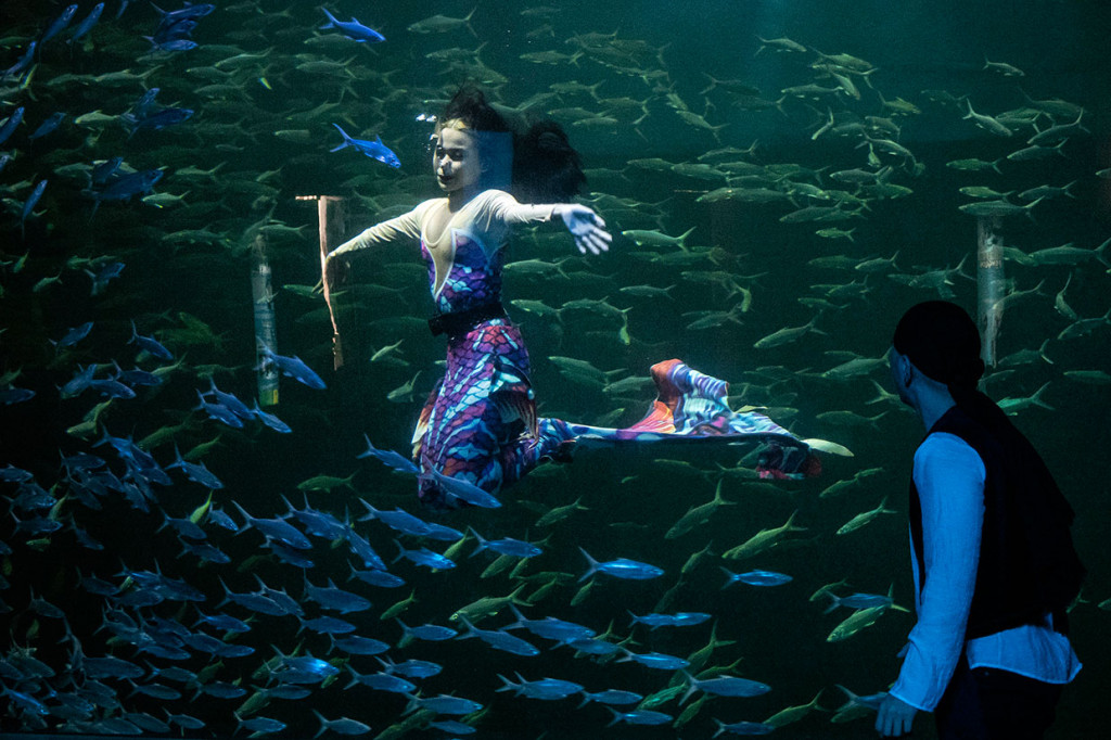 Salah satu adegan dalam pertunjukan Magical Wondersea di Ocean Dream Samudra, Ancol, Jakarta, Jumat, 6 September 2019. 