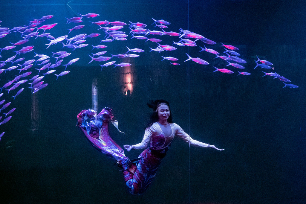 Magical Wondersea merupakan pertunjukan sulap teatrikal di darat dan di dalam air yang berkisah tentang bagaimana manusia dapat berdampingan dengan kehidupan laut.