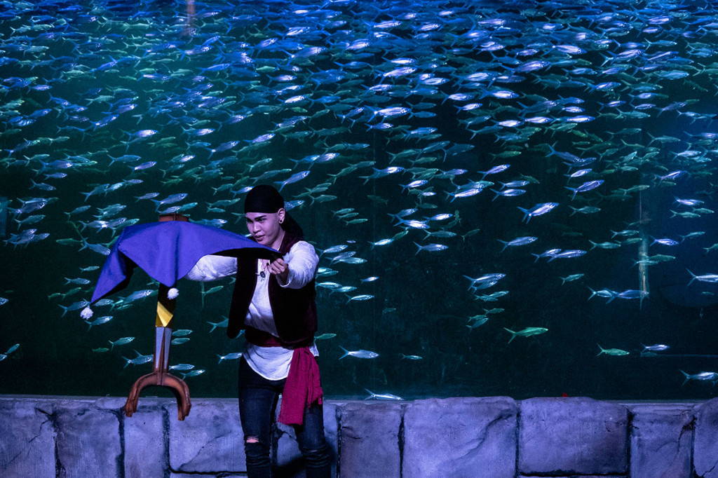 Pertunjukan sulap teatrikal di darat dan dalam air tersebut akan menghibur pengunjung Ocean Dream Samudra pada 1 hingga 29 September 2019 mendatang. Atraksi ini kolaborasi antara trik sulap yang dikemas dalam cerita musikal penuh makna. 