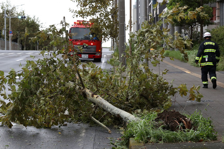 Topan Faxai memicu peringatan evakuasi bagi puluhan ribu warga, dan juga membuat aliran listrik serta transportasi di area Tokyo dan sekitarnya terganggu.