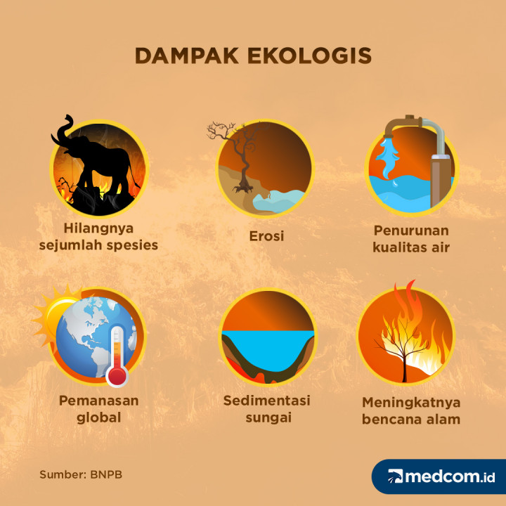 Menghitung Dampak Karhutla