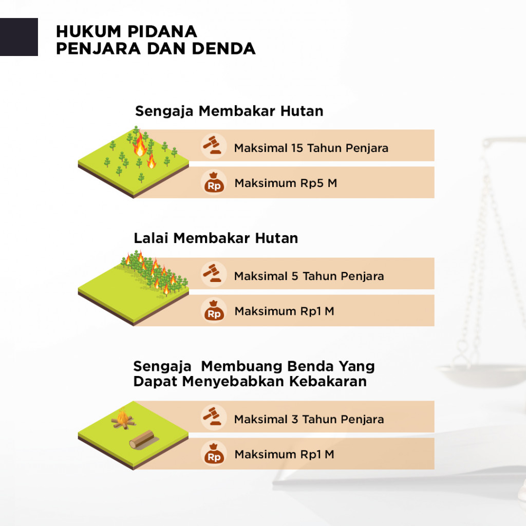 Penegakan Hukum dalam Penanganan Kebakaran Hutan dan Lahan