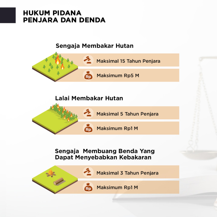 Penegakan Hukum dalam Penanganan Kebakaran Hutan dan Lahan