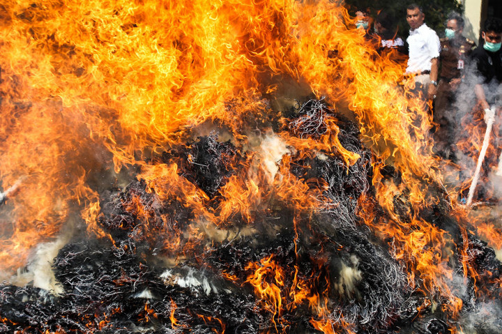 Unsur Forkompimda melakukan pemusnahan ratusan kilogram ganja kering dengan cara dibakar di Polres Lhokseumawe, Aceh, Jumat, 27 September 2019.