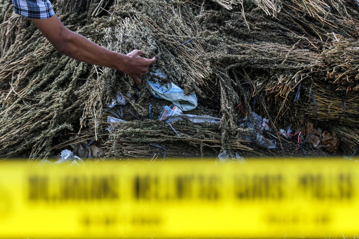 Sebanyak 350 kilogram barang bukti ganja yang dimusnahkan dengan cara dibakar itu merupakan barang sitaan polisi dari lokasi ladang ganja pada saat akan dipasok ke sejumlah kota besar di Pulau Jawa.