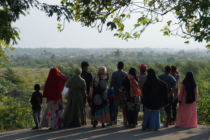 Setahun setelah bencana gempa, tsunami, dan likuefaksi yang terjadi di Kelurahan Petobo, Palu area dengan luas sekitar 180 hektare itu kini menghijau dipenuhi semak belukar.