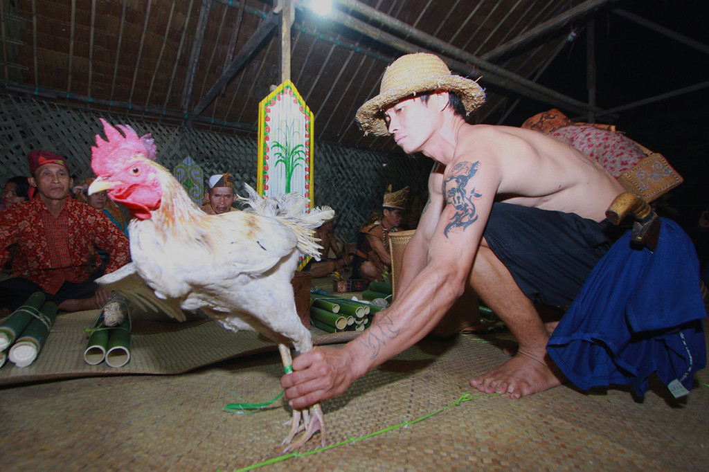 Tahun ini untuk kali pertama, upacara adat itu dilakukan secara bersama-sama, sehingga dinamakan Mesiwah Pare Gumboh yang artinya Syukuran Panen Bersama.
