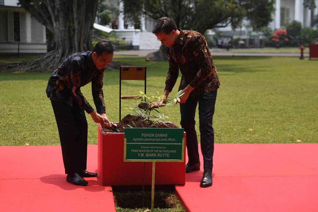 Presiden Joko Widodo (kiri) bersama PM Belanda Mark Rutte menanam pohon damar disela pertemuan di Istana Bogor, Jawa Barat.