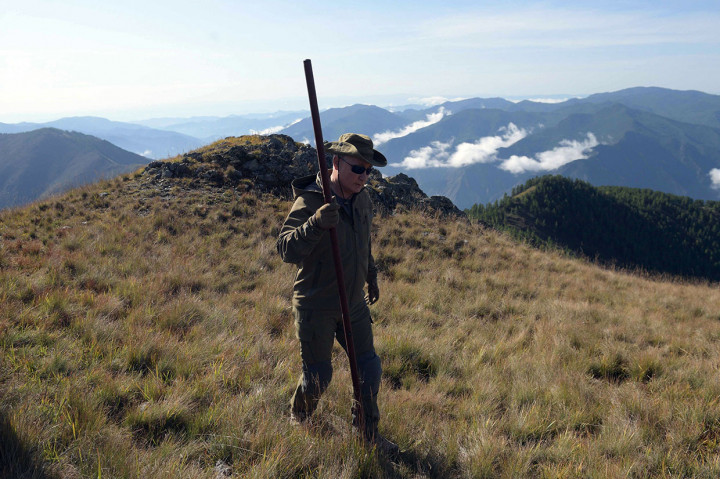 Merayakan ulang tahunnya yang ke-67 Presiden Rusia Vladimir Putin mendaki gunung di Siberia, pada akhir pekan lalu. Sembari menikmati pemandangan alam yang indah, Putin mencari jamur liar di antara semak-semak pegunungan.