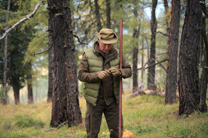 Dalam rekaman video yang dirilis oleh Kremlin, Putin dan Shoigu tengah memetik dan mengendus jamur liar.