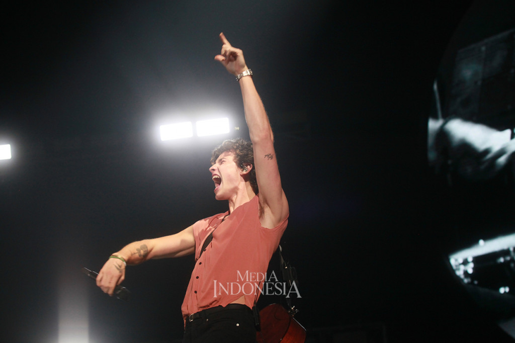 Tur Asia Shawn Mendes dimulai dari Bangkok, Thailand, kemudian ke Singapura, Kuala Lumpur, Malaysia dan Jakarta, lalu ke Manila, Filipina, Macau serta Tokyo, Jepang.