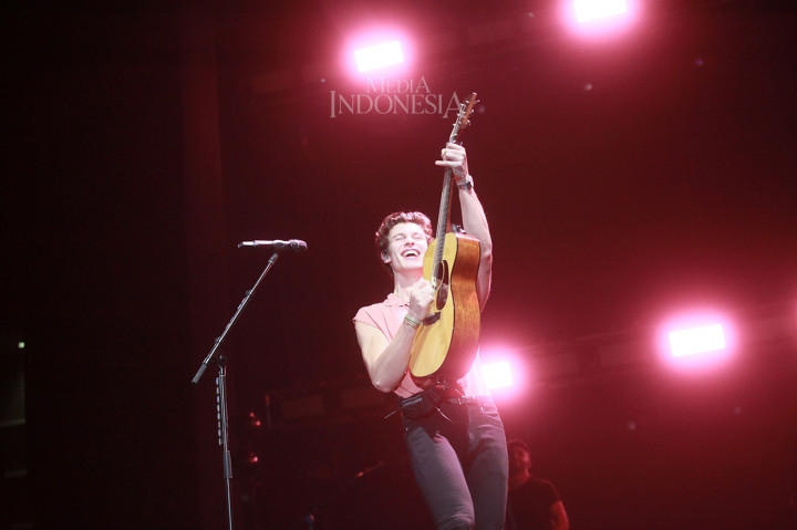 Di seluruh dunia, album Shawn Mendes terjual lebih dari 15 juta copy album dan 100 juta copy singles hingga lagu-lagunya sudah didengarkan lebih dari 20 miliar penggemar musik.