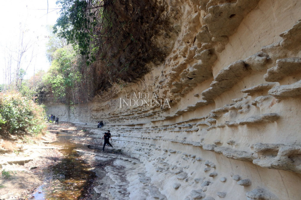 Untuk menjangkau lokasi sungai purba, dari Kota Blora berjarak sekitar 20 kilometer atau perjalanan 40 menit menuju Kecamatan Japah, dan melanjutkan perjalanan lagi sekitar 8 kilometer menuju Desa Kalinanas hingga sampai lokasi. Setelah berhenti di pinggir desa dilanjutkan berjalan kaki sepanjang 100 meter.