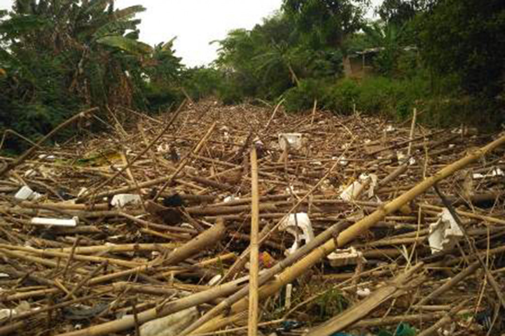 Sampah bambu di Sungai Cikeas, Bendung Kota, Kota Bekasi, Jawa Barat, diangkut petugas.