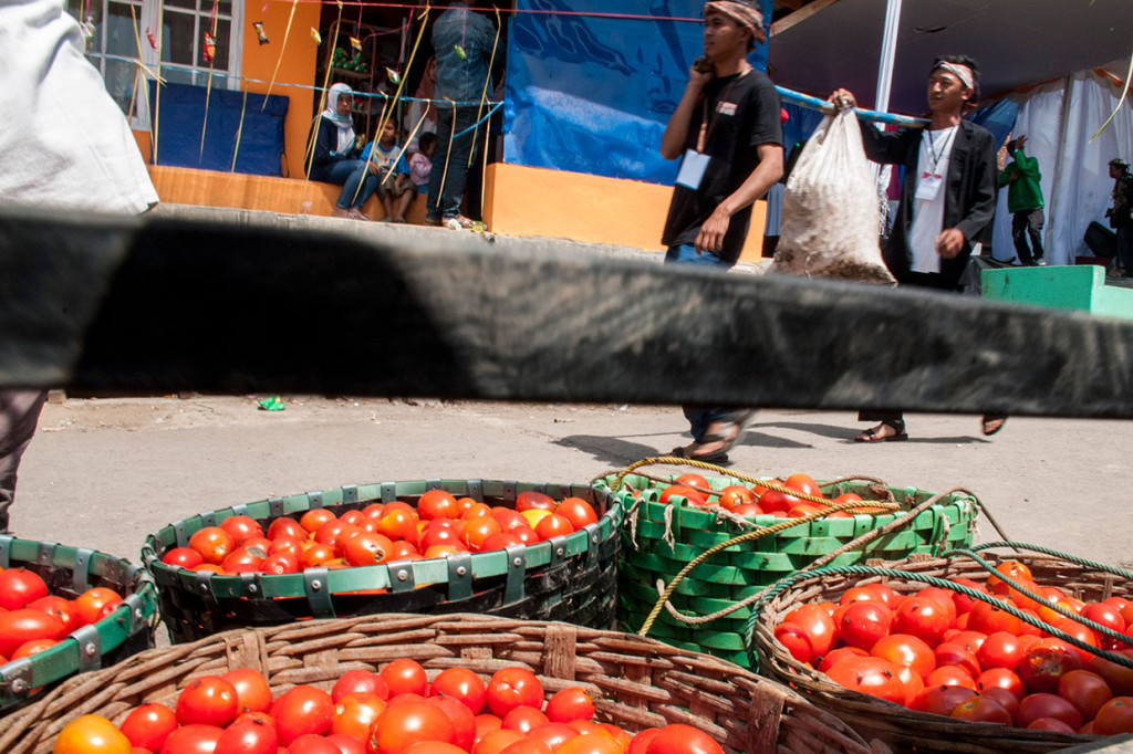 Panitia menyediakan tomat yang sudah busuk sebanyak dua ton untuk dihabiskan oleh warga dalam kegiatan perang-perangan tersebut. Peserta perang yang terbagi dalam dua tim itu wajib memakai baju pangsi hitam dan pelindung kepala serta tameng yang dibuat dari anyaman bambu.