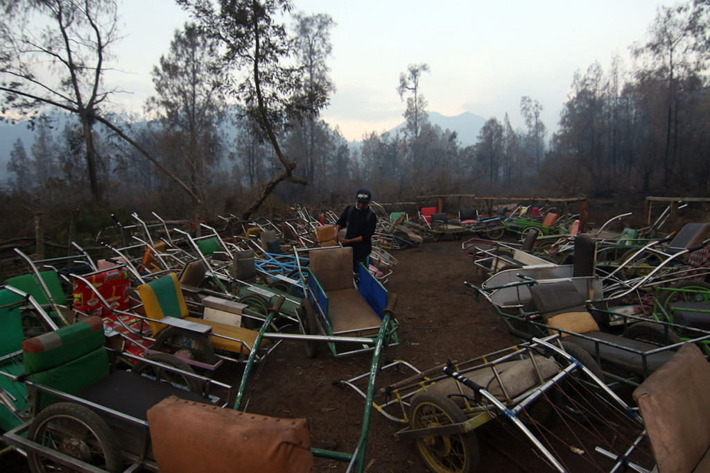 Pemerintah Kabupaten Banyuwangi telah memperpanjang status tanggap darurat kebakaran yang terjadi di Gunung Ijen, Gunung Rante dan cagar alam Gunung Merapi Ungup-ungup dari tanggal 29 Oktober hingga 4 November 2019, karena sampai saat ini kebakaran masih terjadi dan dalam upaya pemadaman Timsar melalui darat dan udara.