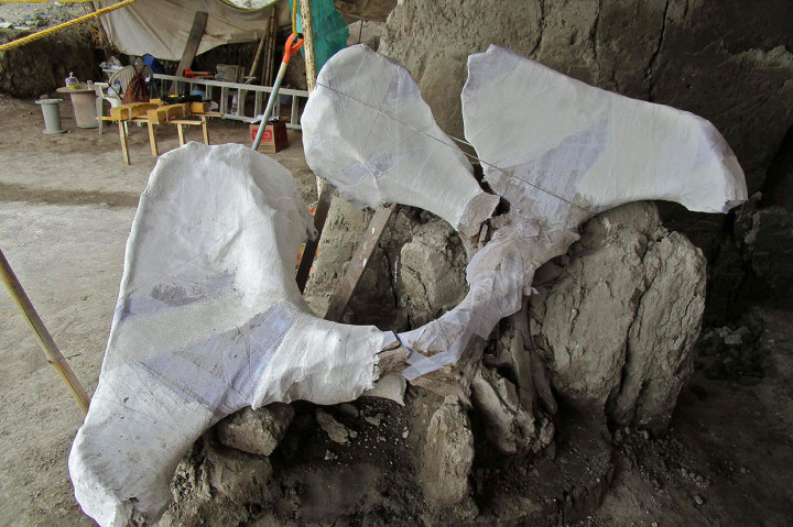 Tulang belulang itu ditemukan di Tultepec, di dekat lokasi pemerintah Presiden Andres Manuel Lopez Obrador akan membangun bandara baru untuk Mexico City.